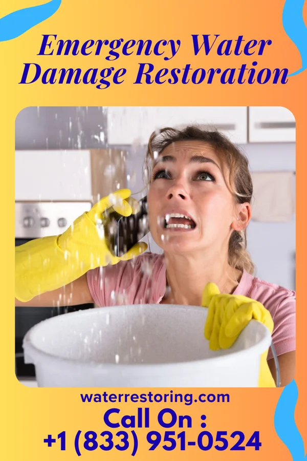 Emergency Water Damage Restoration in Sumner, IL